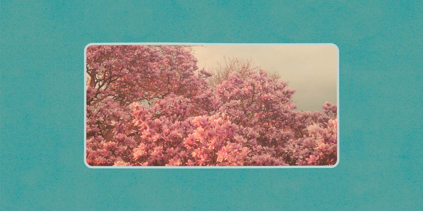 Beirut - No No No