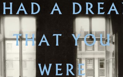 Hamilton Leithauser + Rostam